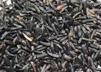 Niger Seeds India